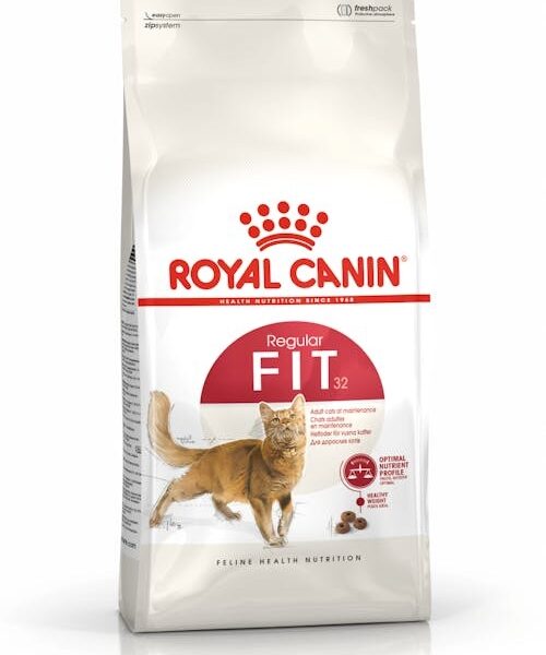 Royal Canin Fit 32 - НАСИПНА за кг