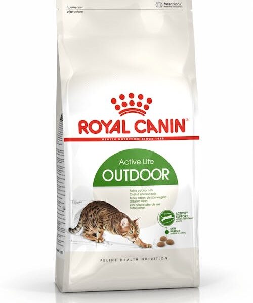 Royal Canin Outdoor - НАСИПНА за кг